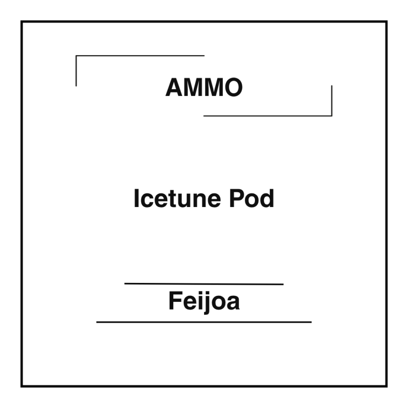 Ammo Icetune Pod Feijoa