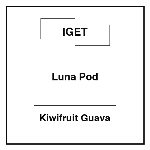IGET LUNA KP13000 POD-Kiwifruit Guava