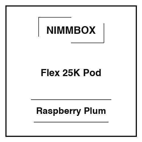 Nimmbox Flex 25K Pod Raspberry Plum