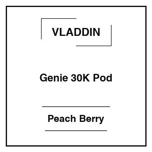 Vladdin-Genie 30K Pod Peach Berry