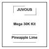Juvous Mega 30K Kit Pineapple Lime 1 juvous mega 30k kit pineapple lime